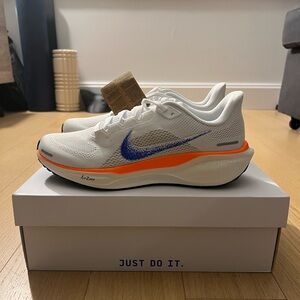Nike Pegasus 41 Prototype
